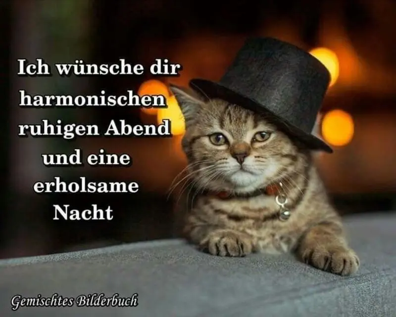 Andachtsbild von Post von Timmy an Silvia