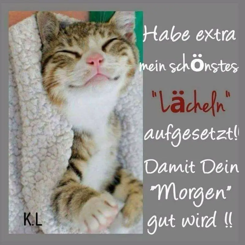 Andachtsbild von Post von Tanja an Gatita und Silvia