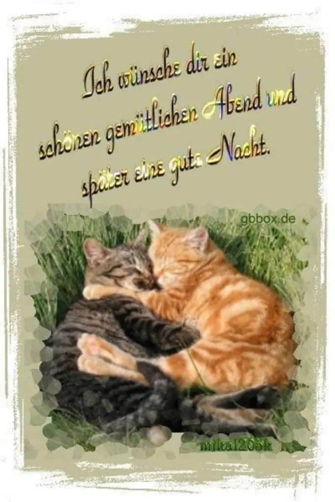 Andachtsbild von Post von Timmy und Gatita