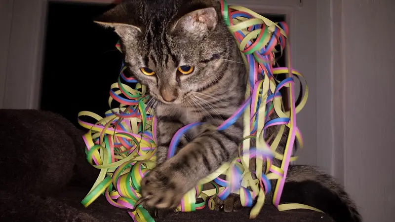 Andachtsbild von Post von Gatita und Timmy