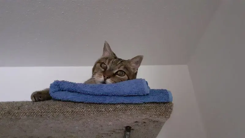 Andachtsbild von Bärbel mit ⭐ Emmi