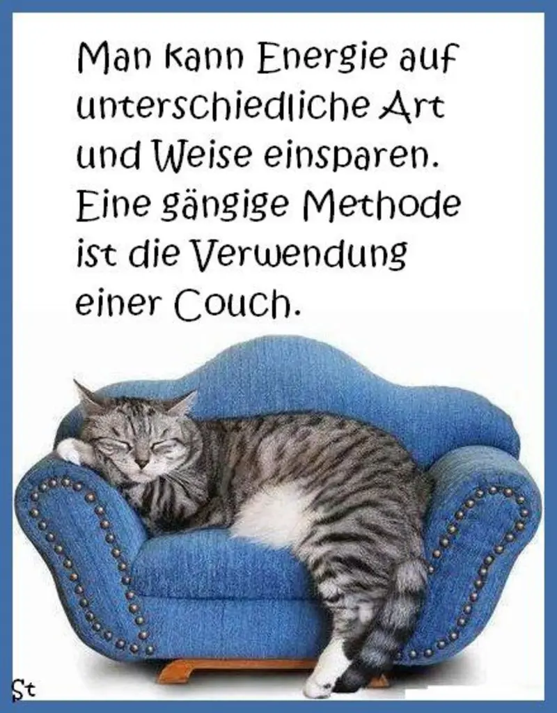 Andachtsbild von Post von Gatita und Timmy an Silvia