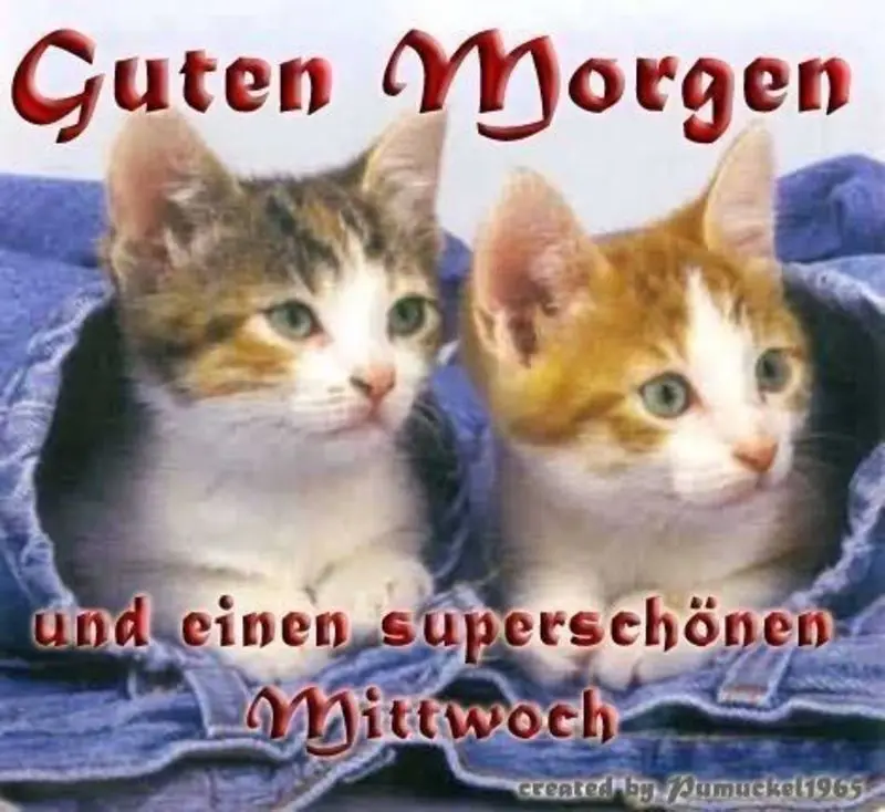 Andachtsbild von Post von Timmy an Silvia