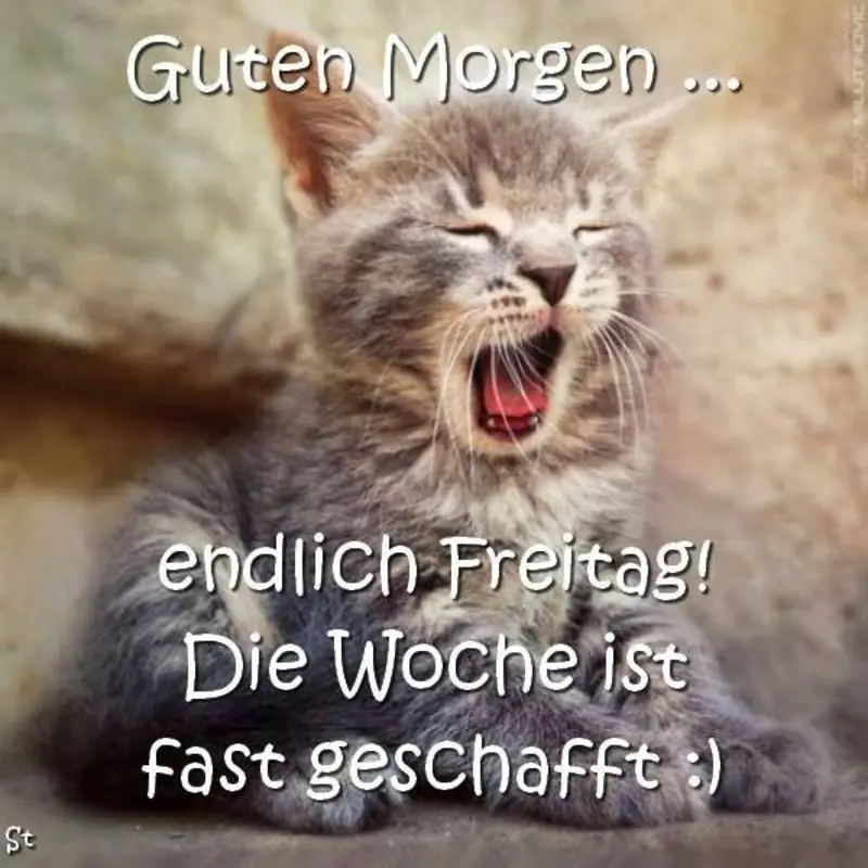 Andachtsbild von Post von Gatita und Timmy an Silvia 