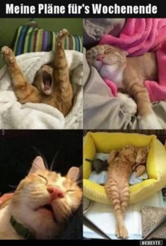 Andachtsbild von Post von Tanja an Gatita 