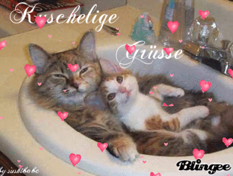 Andachtsbild von Post von Gatita und Timmy an Silvia 
