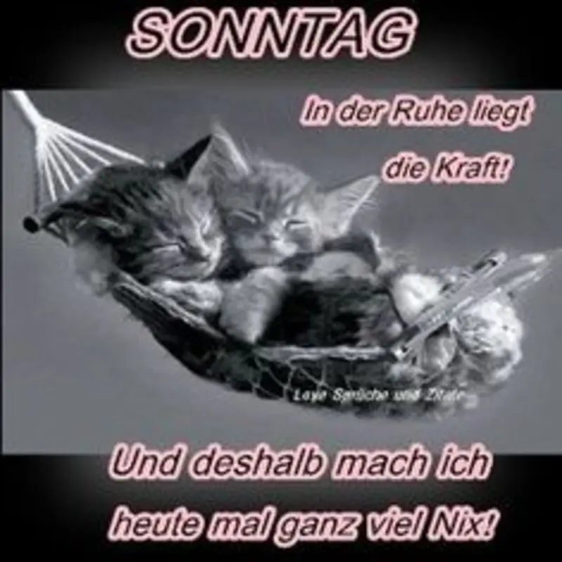 Andachtsbild von Post von Gatita und Timmy an Silvia 