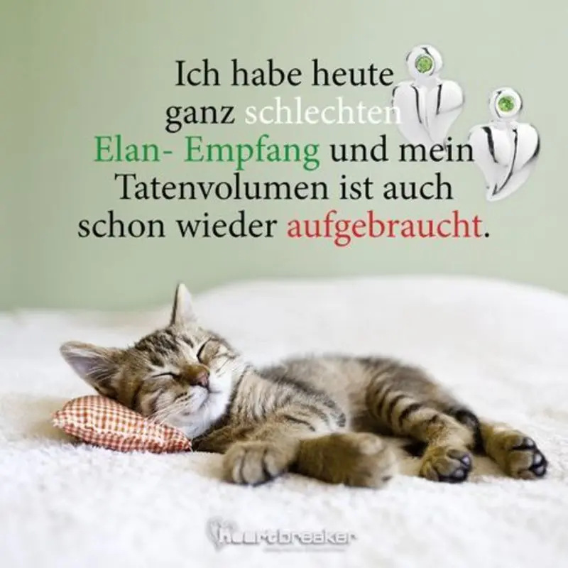 Andachtsbild von Post von Gatita und Timmy an Silvia 
