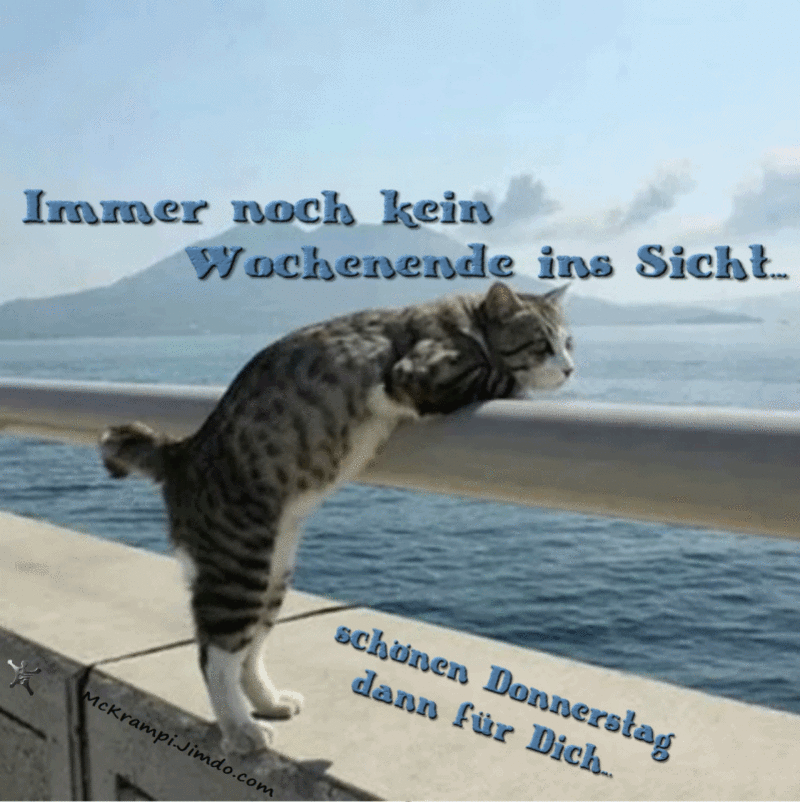 Andachtsbild von Eilpost von Timmy an Silvia 