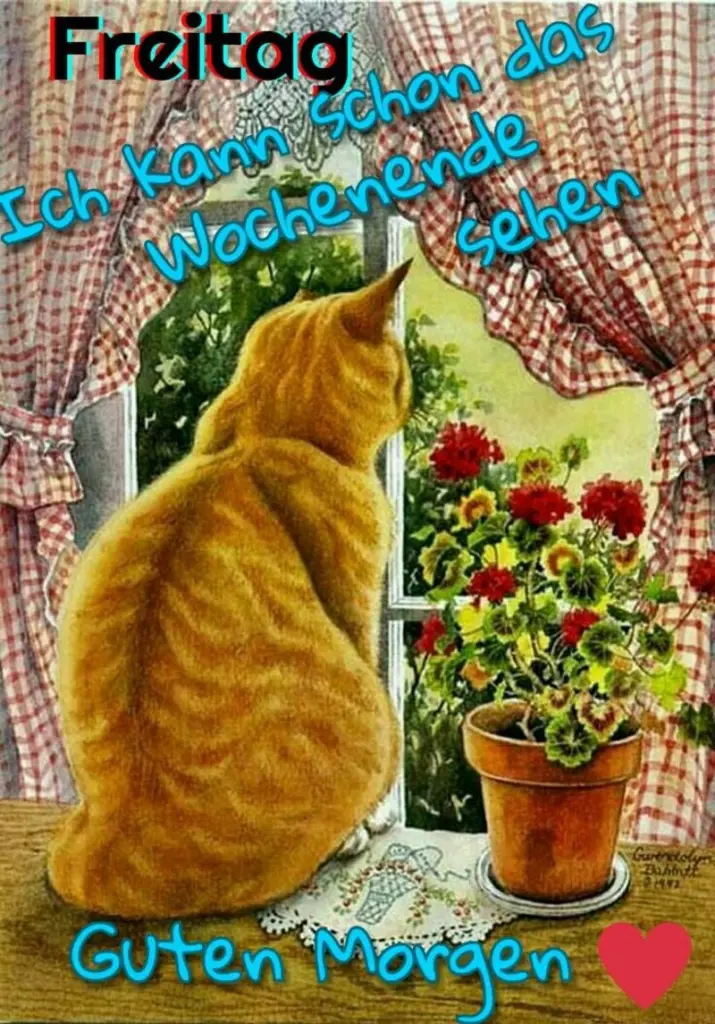 Andachtsbild von Post von Gatita und Timmy an Silvia 