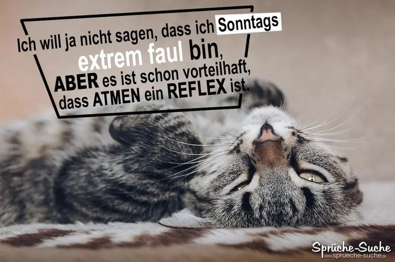 Andachtsbild von Post von Gatita und Timmy an Silvia 