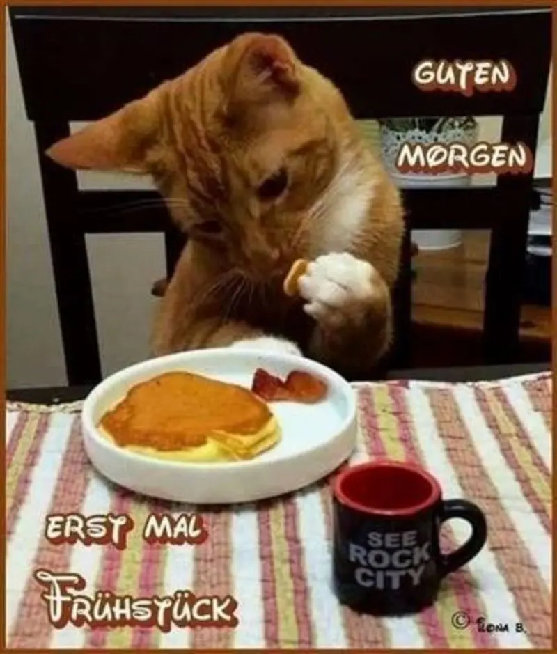 Andachtsbild von Post von Gatita und Timmy an Silvia 