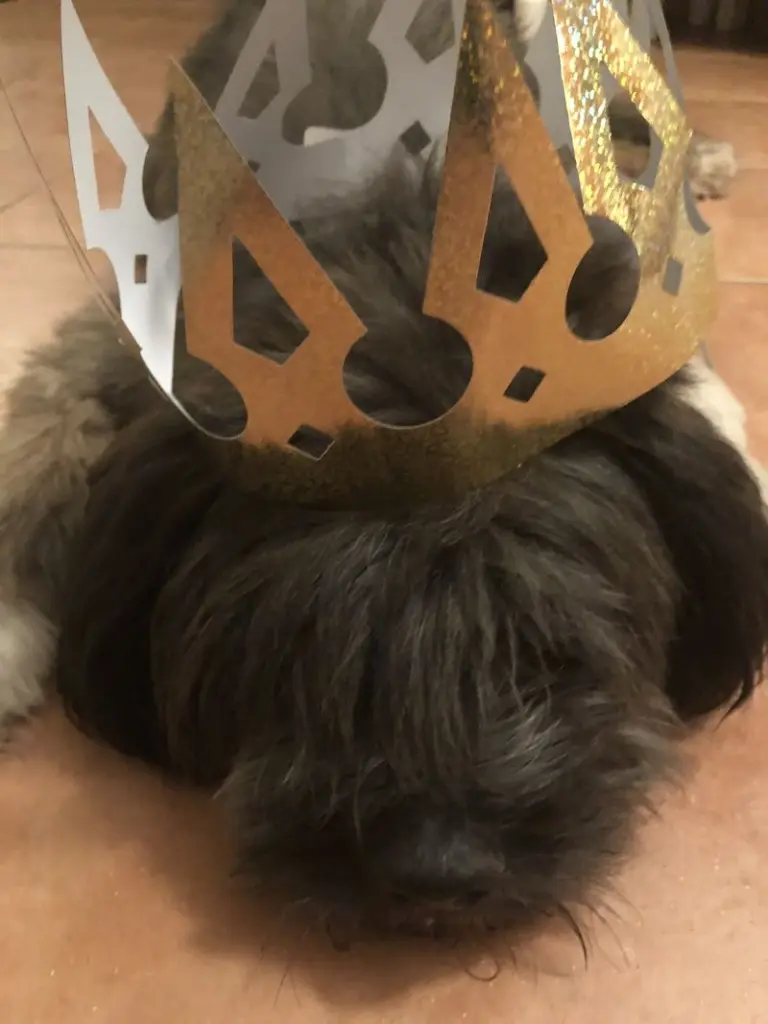 Andachtsbild von Heike mit Oskar im Herzen ❤️