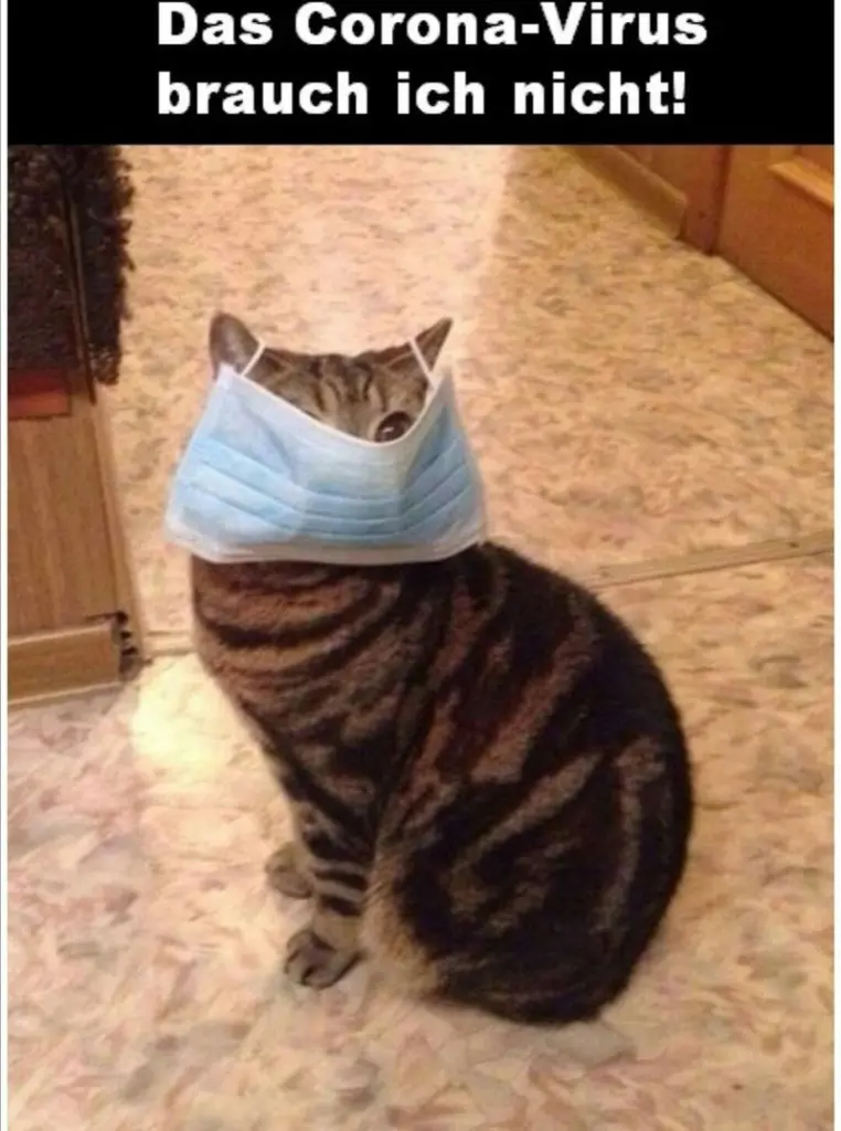 Andachtsbild von Post von Gatita und Timmy an Silvia 