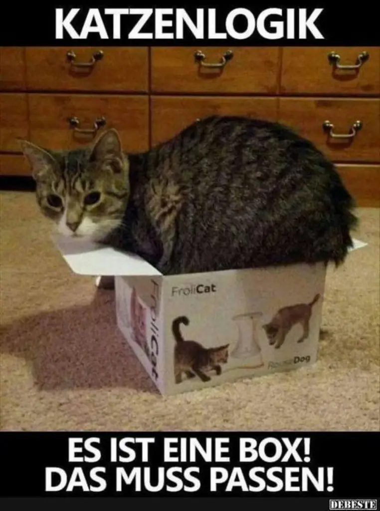 Andachtsbild von Post von Gatita, Schnuffi und Timmy an Silvia