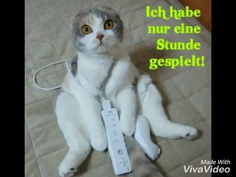 Andachtsbild von Post von Gatita, Schnuffi und Timmy an Silvia