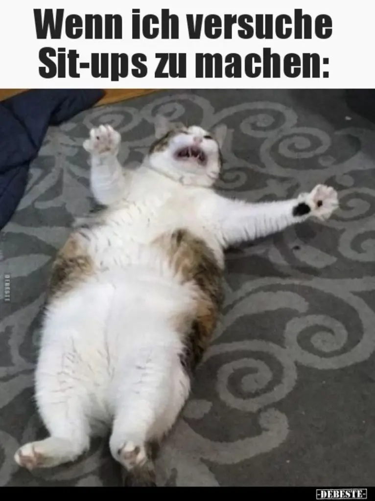 Andachtsbild von Post von Gatita, Schnuffi und Timmy an Silvia