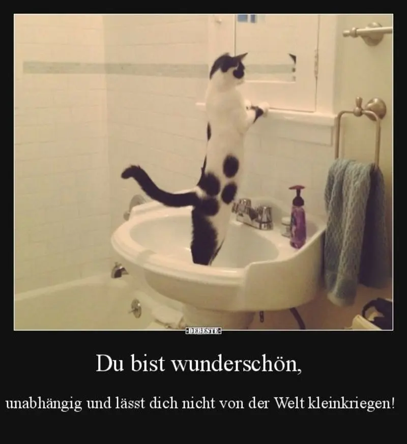 Andachtsbild von Post von Gatita, Schnuffi und Timmy an Silvia 