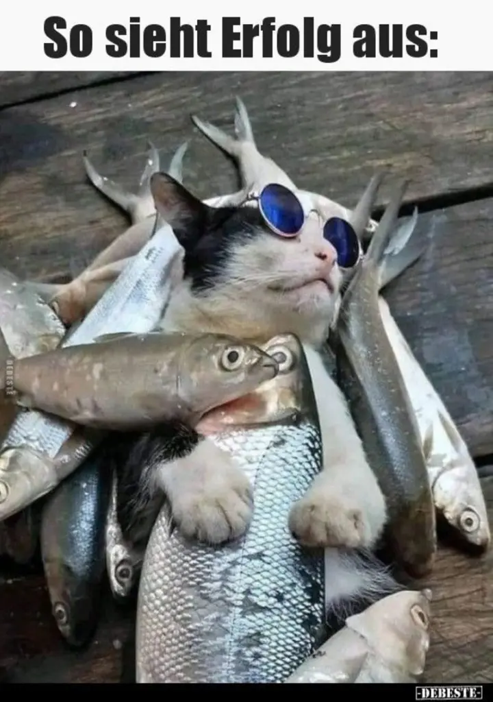 Andachtsbild von Post von Gatita, Schnuffi und Timmy an Silvia