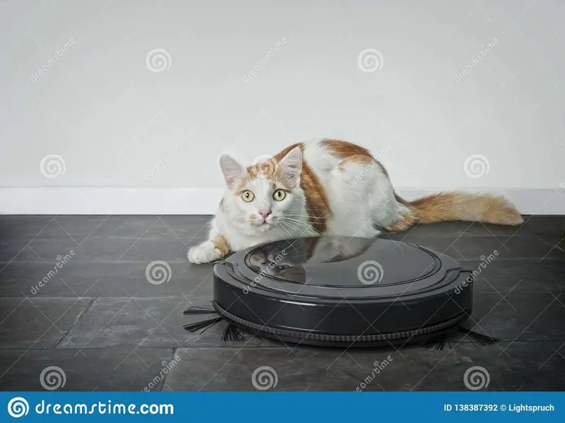 Andachtsbild von Post von Gatita, Schnuffi  und Timmy an Silvia 