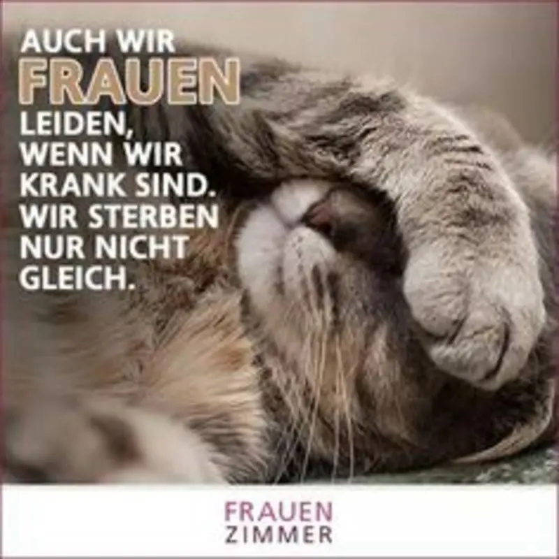 Andachtsbild von Post von Gatita, Schnuffi und Timmy an Silvia 