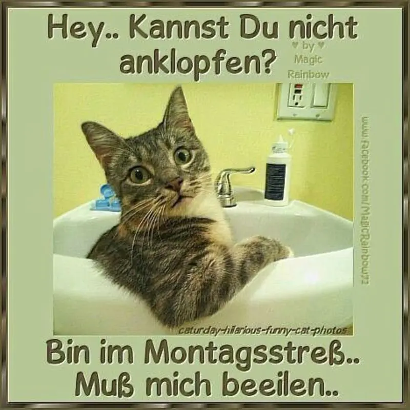 Andachtsbild von Post von Gatita, Schnuffi  und Timmy an Silvia 