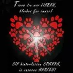 Andachtsbild von Christine mit Amy tief im ❤️(verst.13.Nov.2020)