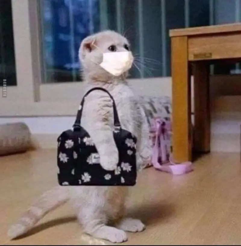 Andachtsbild von Post von Gatita, Schnuffi und Timmy an Silvia 