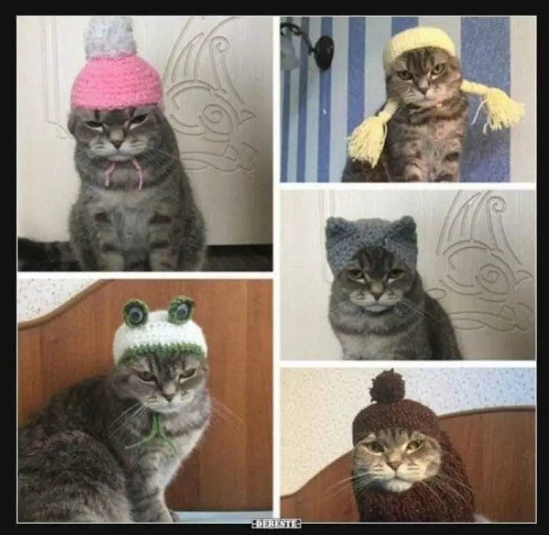 Andachtsbild von Post von Gatita, Schnuffi und Timmy an Silvia 