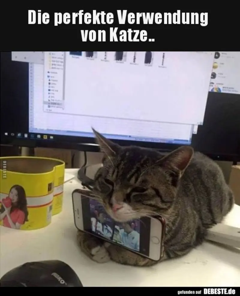 Andachtsbild von Eilpost von Gatita an Silvia 