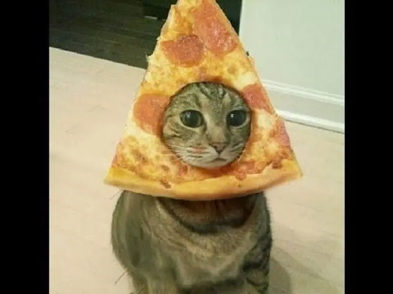 Andachtsbild von Post von Gatita, Schnuffi und Timmy an Silvia 