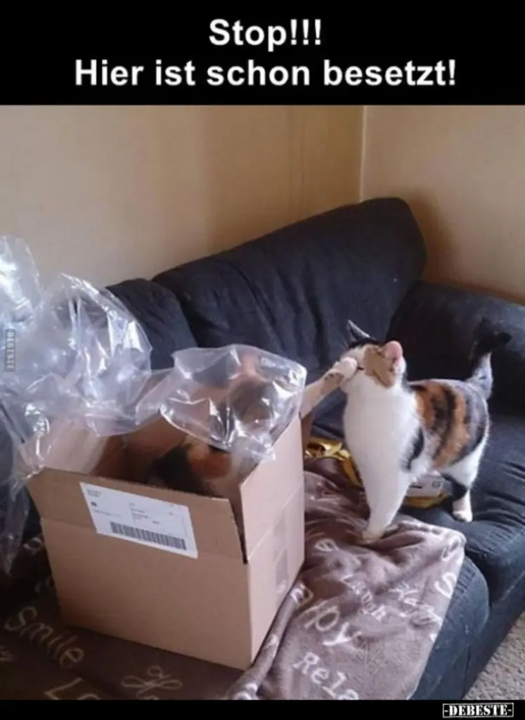 Andachtsbild von Post von Gatita, Schnuffi und Timmy an Silvia 