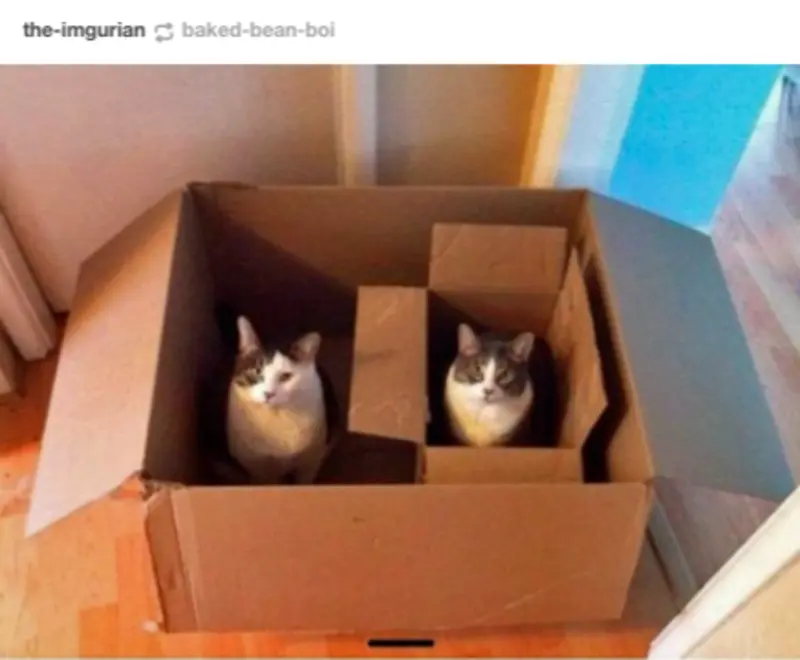 Andachtsbild von Post von Gatita an Silvia 