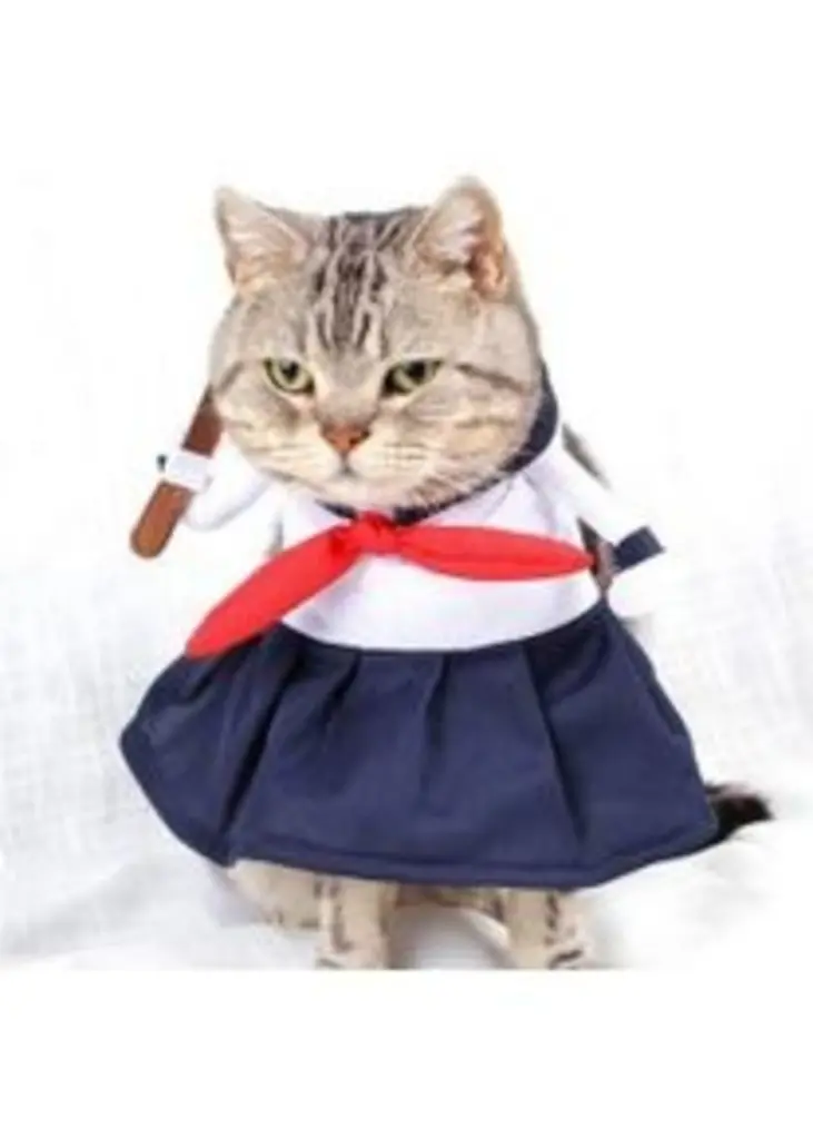 Andachtsbild von Post von Gatita, Schnuffi und Timmy an Silvia 