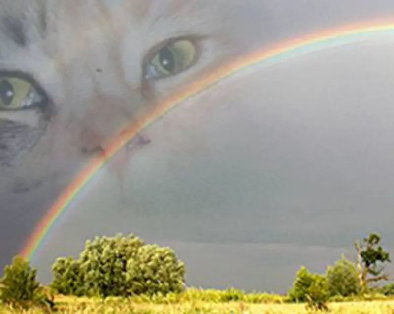 Andachtsbild von Von Deinem Frauchen Silvia