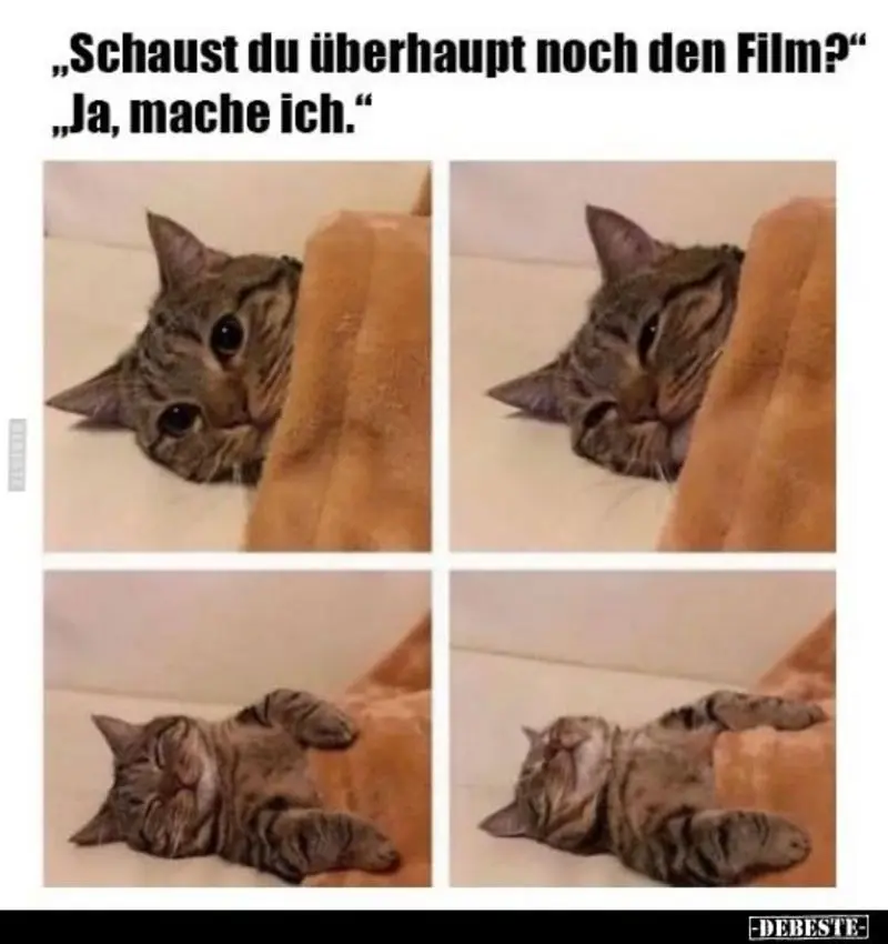 Andachtsbild von Post von Gatita, Schnuffi und Timmy an Silvia 