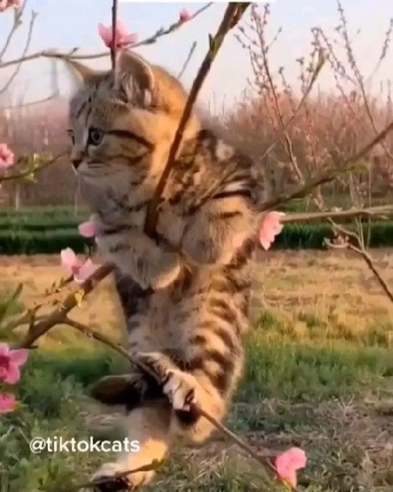 Andachtsbild von Jeannette mit Sisi und Lissy im ❤️