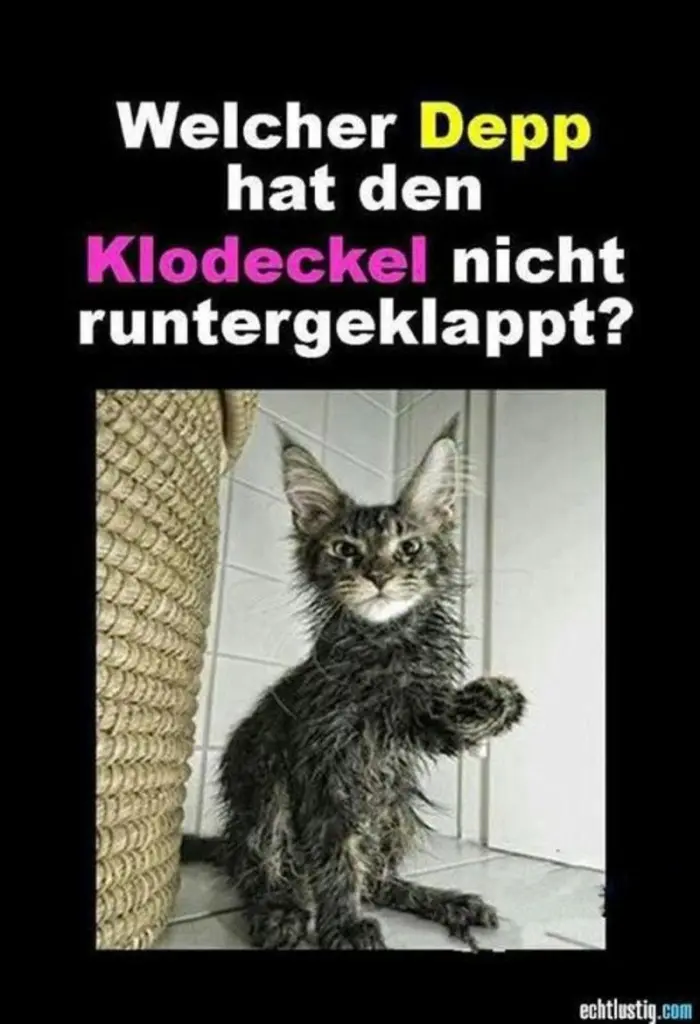 Andachtsbild von Post von Gatita, Schnuffi, Mausi und Timmy an Silvia 