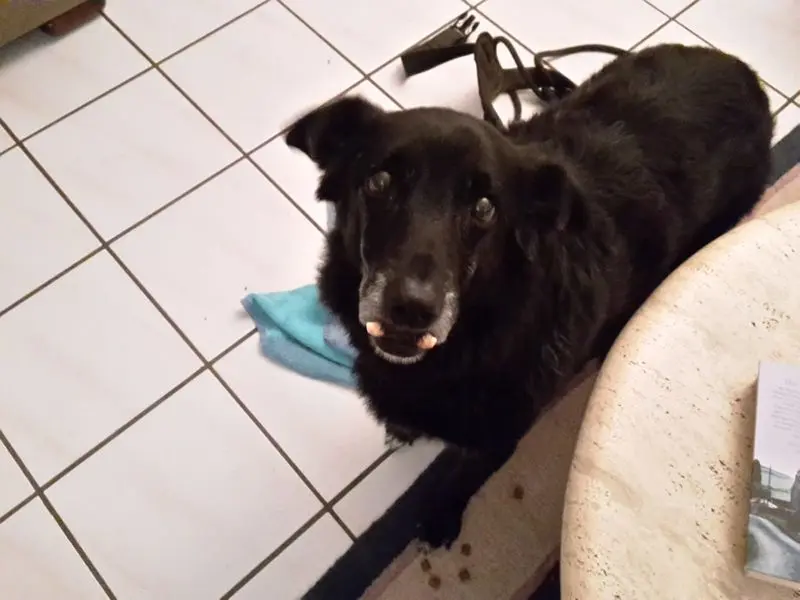 Andachtsbild von Annette mit Boldi im Herzen