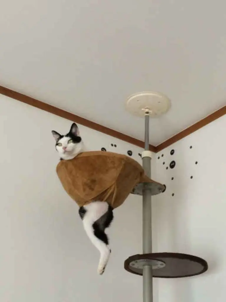 Andachtsbild von Post von Timmy an Silvia