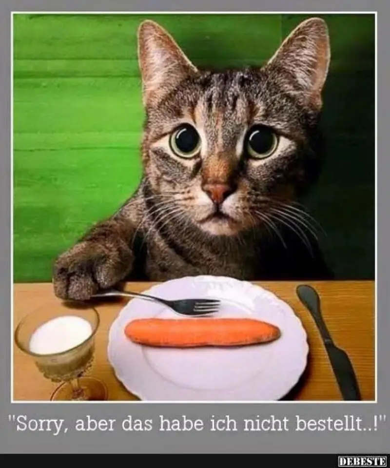 Andachtsbild von Post von Gatita, Schnuffi, Mausi und Timmy an Silvia 