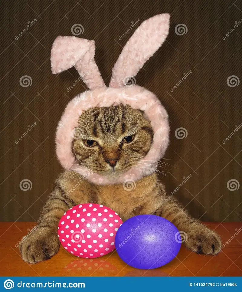 Andachtsbild von Post von Gatita, Schnuffi, Mausi und Timmy an Silvia 