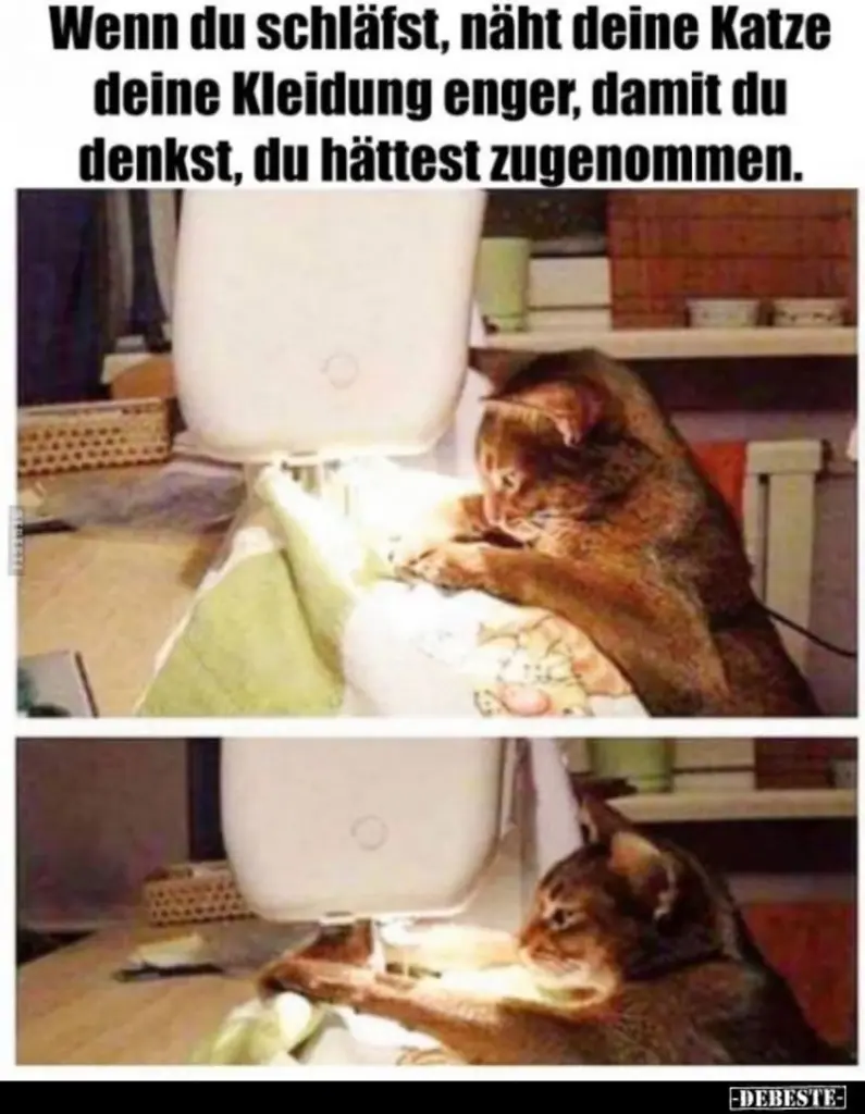 Andachtsbild von Post von Gatita, Schnuffi, Mausi und Timmy an Silvia 