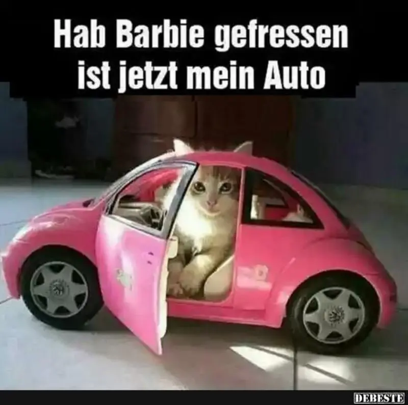 Andachtsbild von Post von Gatita, Schnuffi, Mausi und Timmy an Silvia 