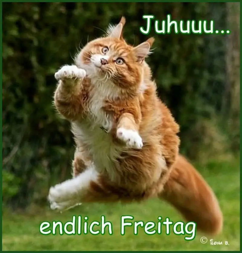 Andachtsbild von Timmys Mutti Tanja 