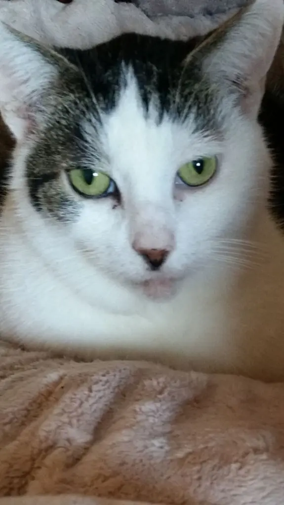 Andachtsbild von Christiane mit Casper im Herzen