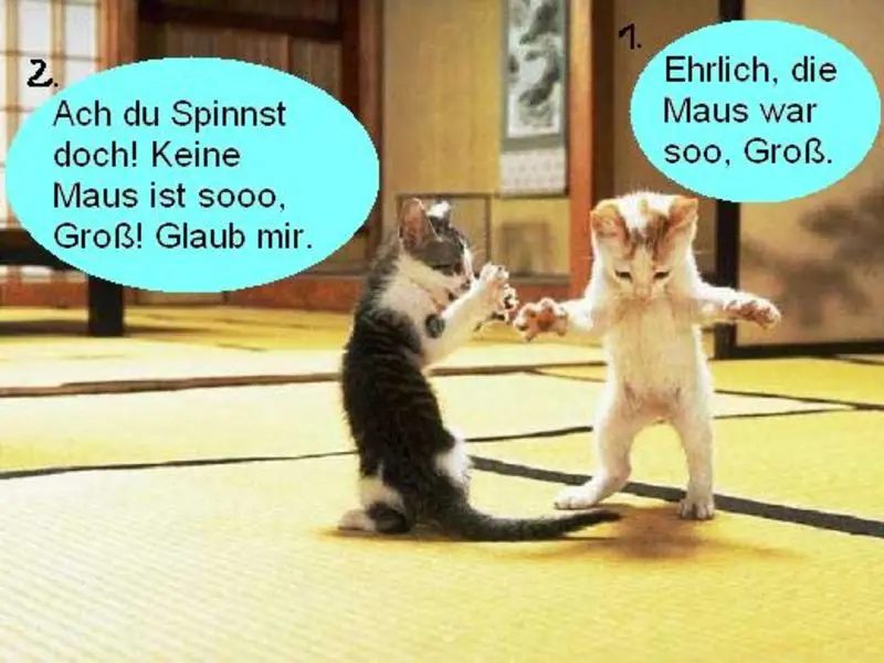Andachtsbild von Post von Gatita, Schnuffi, Mausi und Timmy an Silvia