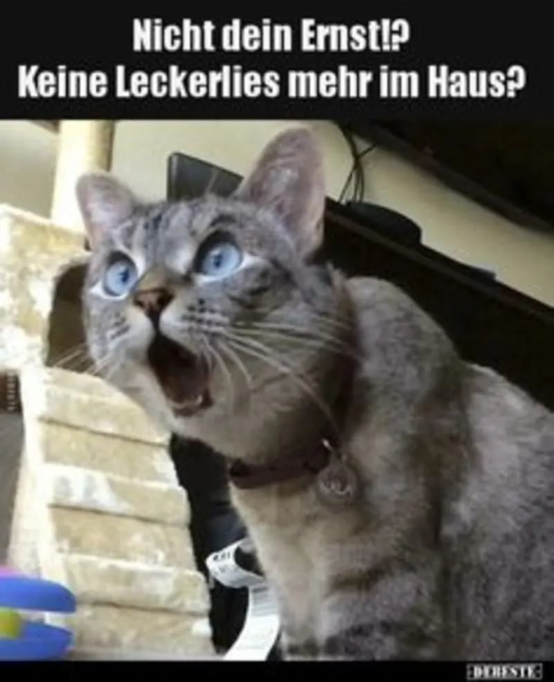 Andachtsbild von Post von Gatita, Schnuffi, Mausi und Timmy an Silvia 