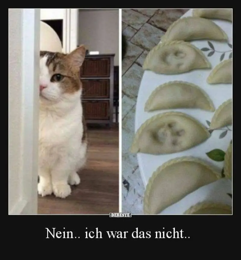 Andachtsbild von Post von Gatita, Schnuffi, Mausi und Timmy an Silvia 