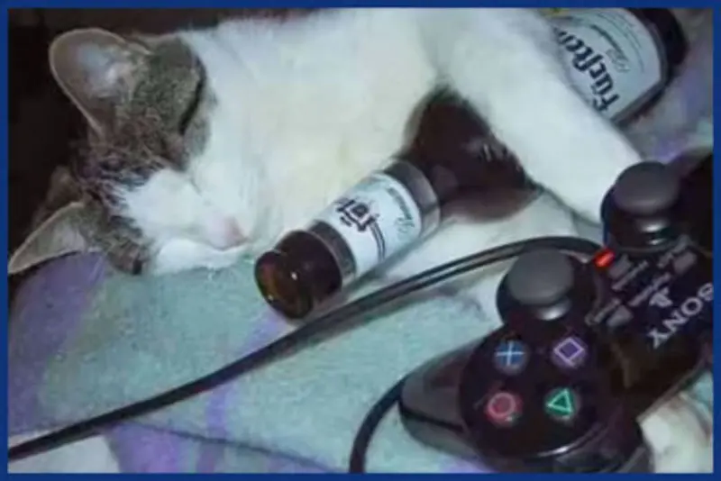 Andachtsbild von Post von Gatita, Schnuffi, Mausi und Timmy an Silvia 